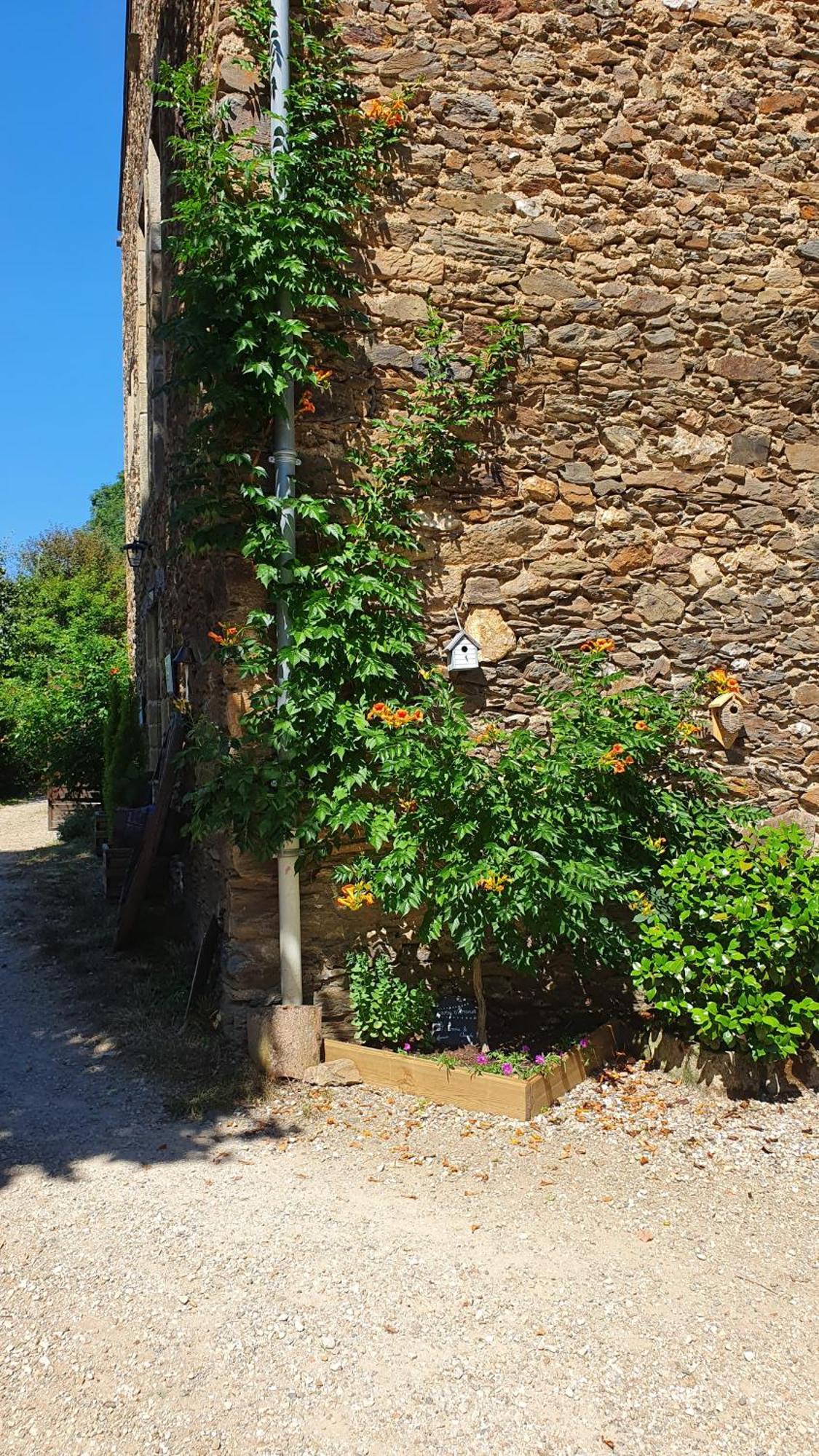 Quins La Ferme Des Andes - Gite L'Atelier מראה חיצוני תמונה