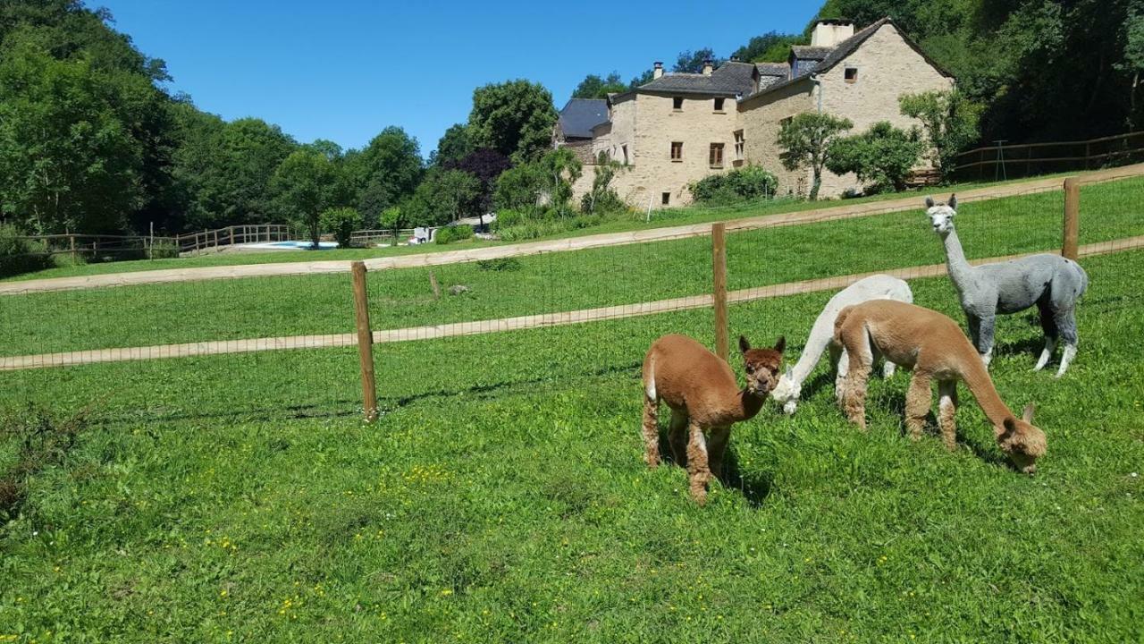 Quins La Ferme Des Andes - Gite L'Atelier מראה חיצוני תמונה
