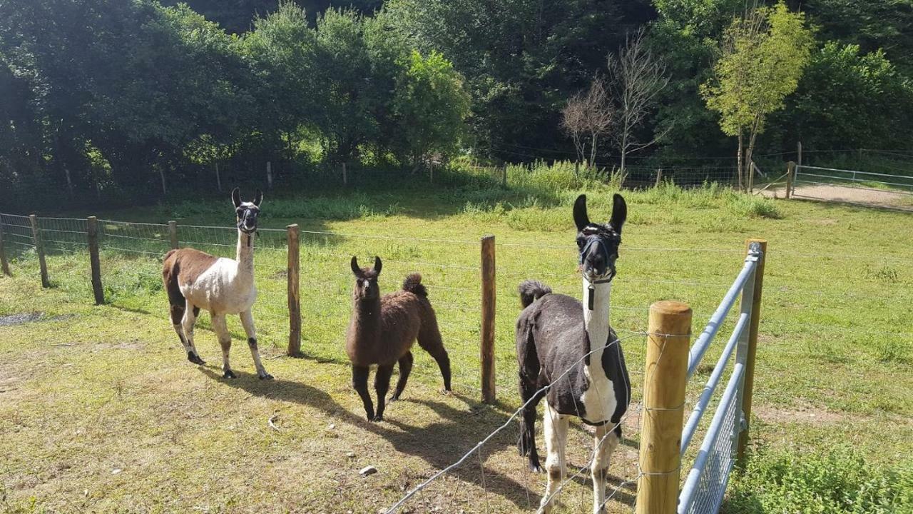 Quins La Ferme Des Andes - Gite L'Atelier מראה חיצוני תמונה