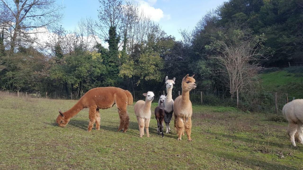 Quins La Ferme Des Andes - Gite L'Atelier מראה חיצוני תמונה